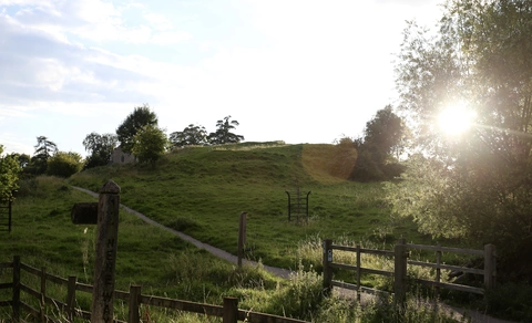Nene Way