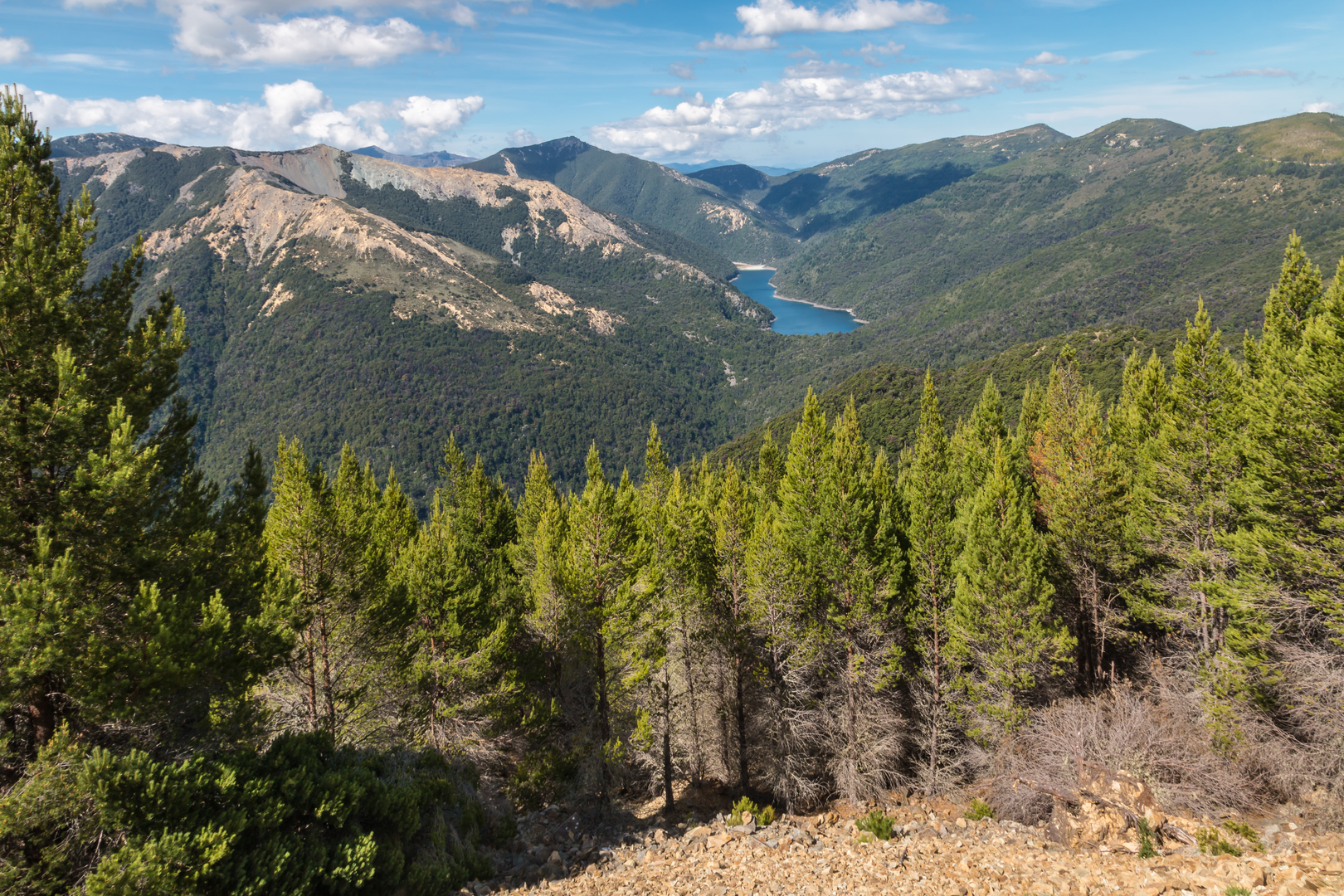 An image depicting the trail Old Man Hut Circuit - 2 Days and its surrounding area.