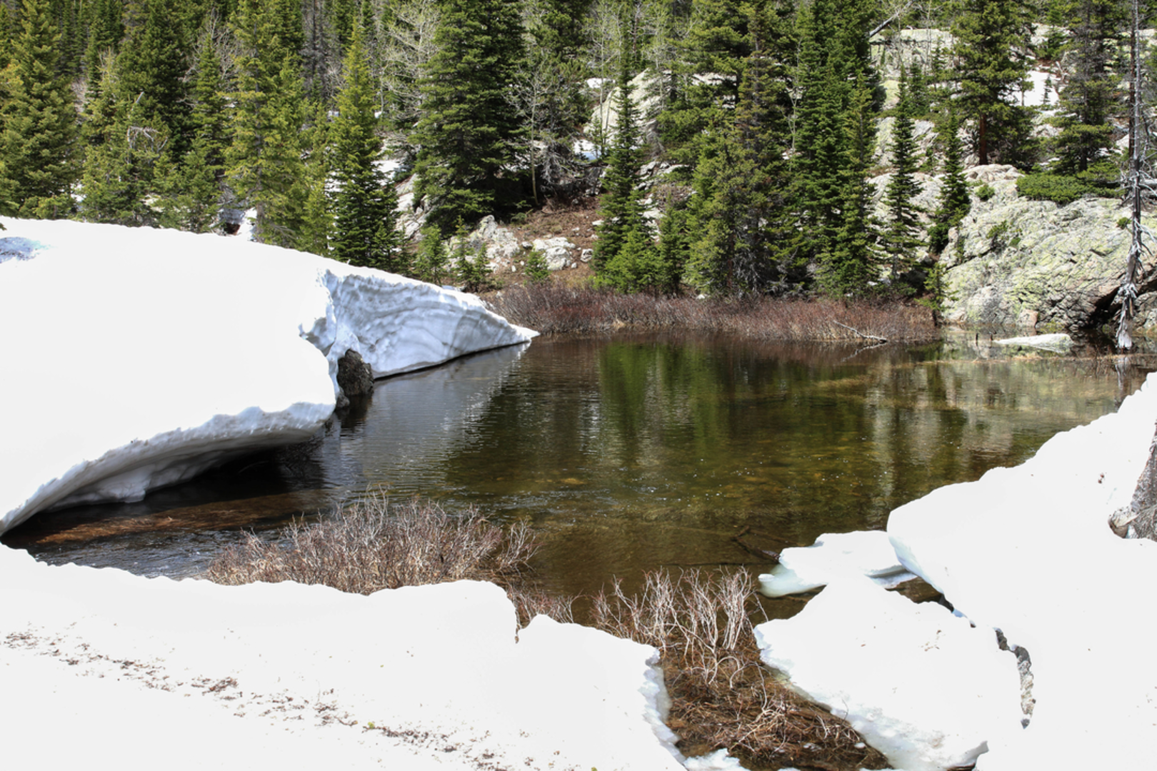 An image depicting the trail Dream Lake Trail and its surrounding area.