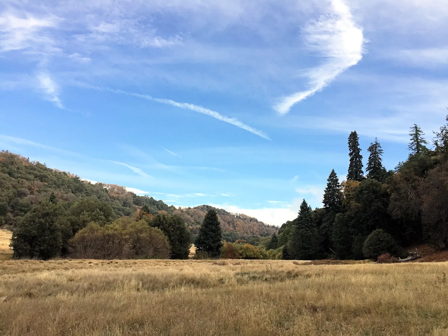 An image depicting the trail Cedar, Scott's Cabin and Doane Valley Nature Loop Trail and its surrounding area.