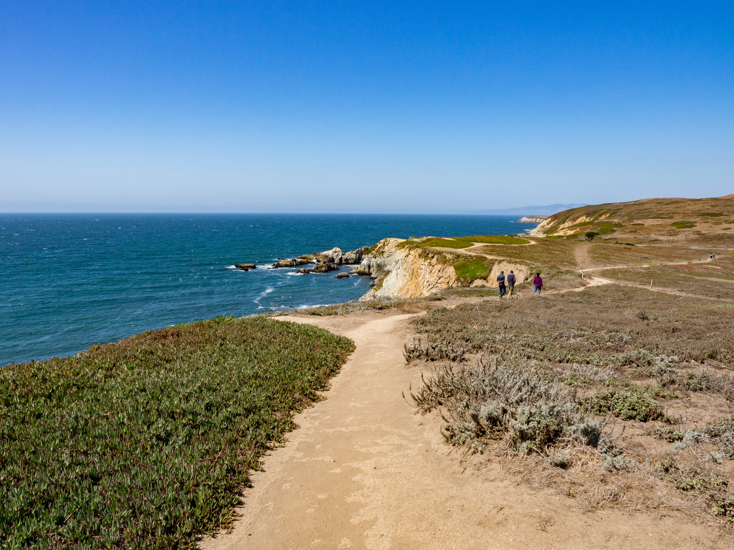 An image depicting the trail Bodega Head Trail and its surrounding area.