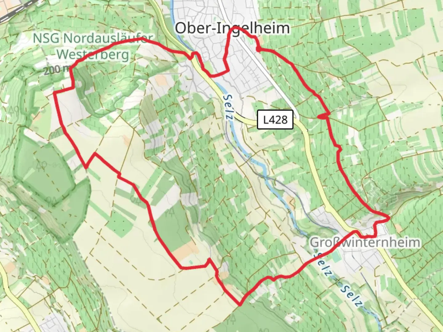 An image depicting the trail Ingelheimer Auslese and its surrounding area.
