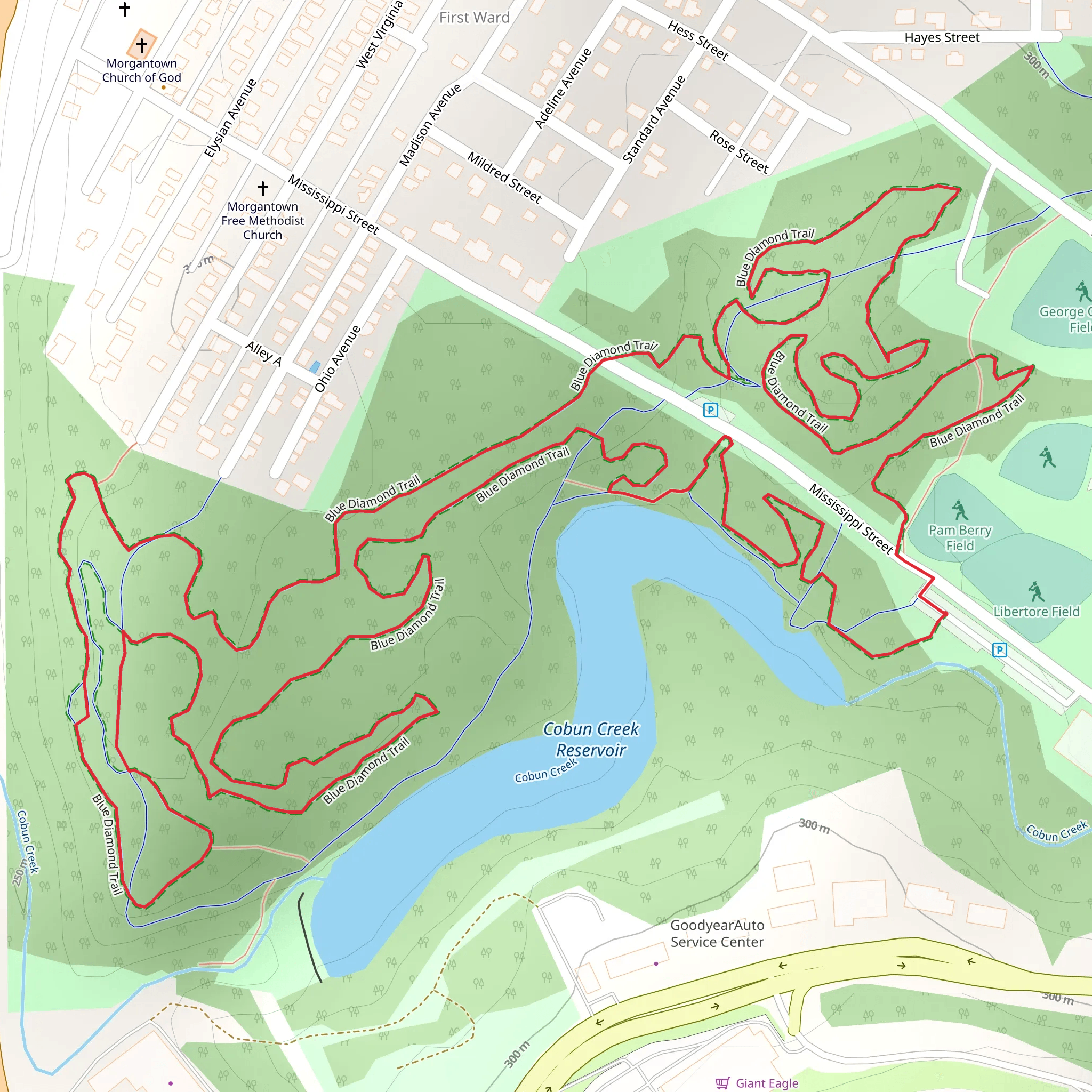 Blue Diamond Loop Trail mobile static map