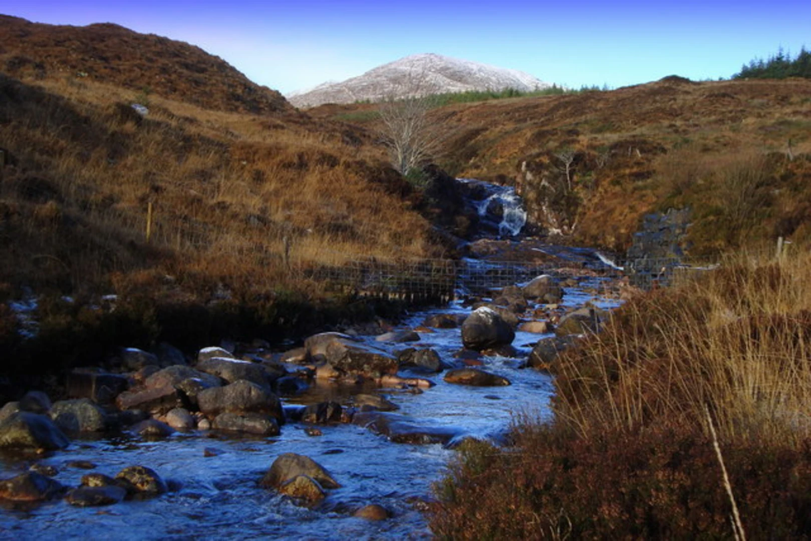 An image depicting the trail Brown's Hill and its surrounding area.