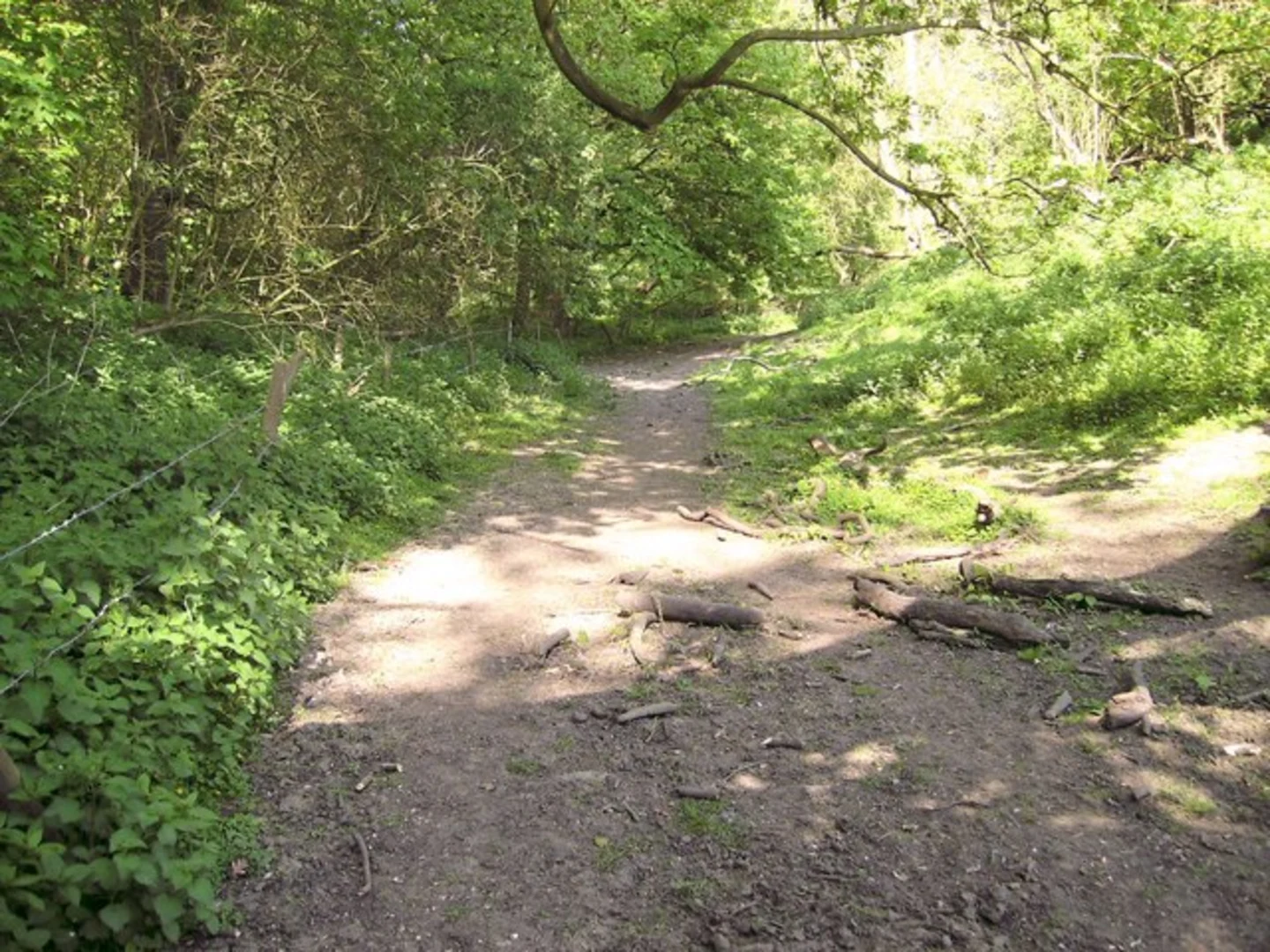 An image depicting the trail Stock Furlong and Beesby Wood Loop and its surrounding area.