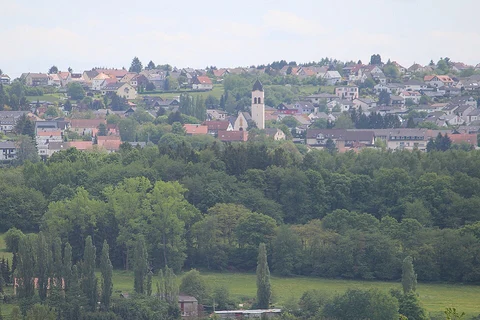 Libellenweg
