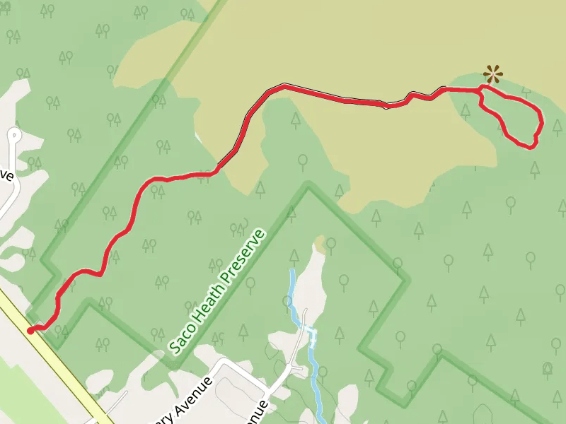 Saco Heath Boardwalk Trail
