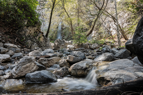 Mount Zion Loop - Sturtevant to Winter Creek Trail
