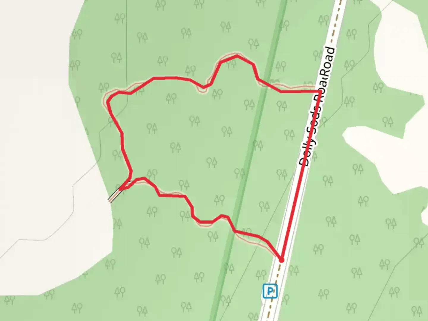An image depicting the trail Dolly Sods Road Loop and its surrounding area.