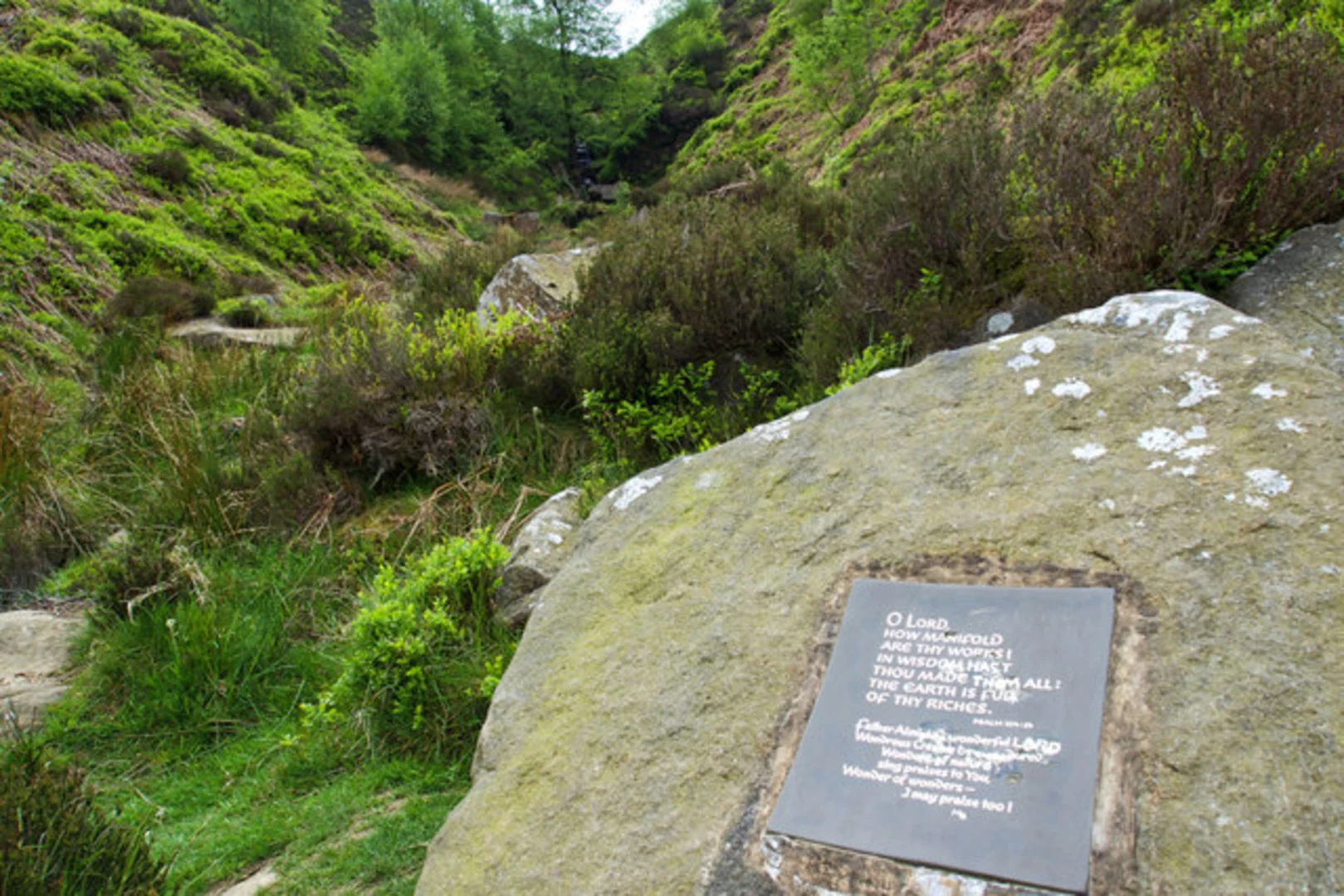 An image depicting the trail Bronte Waterfall and its surrounding area.