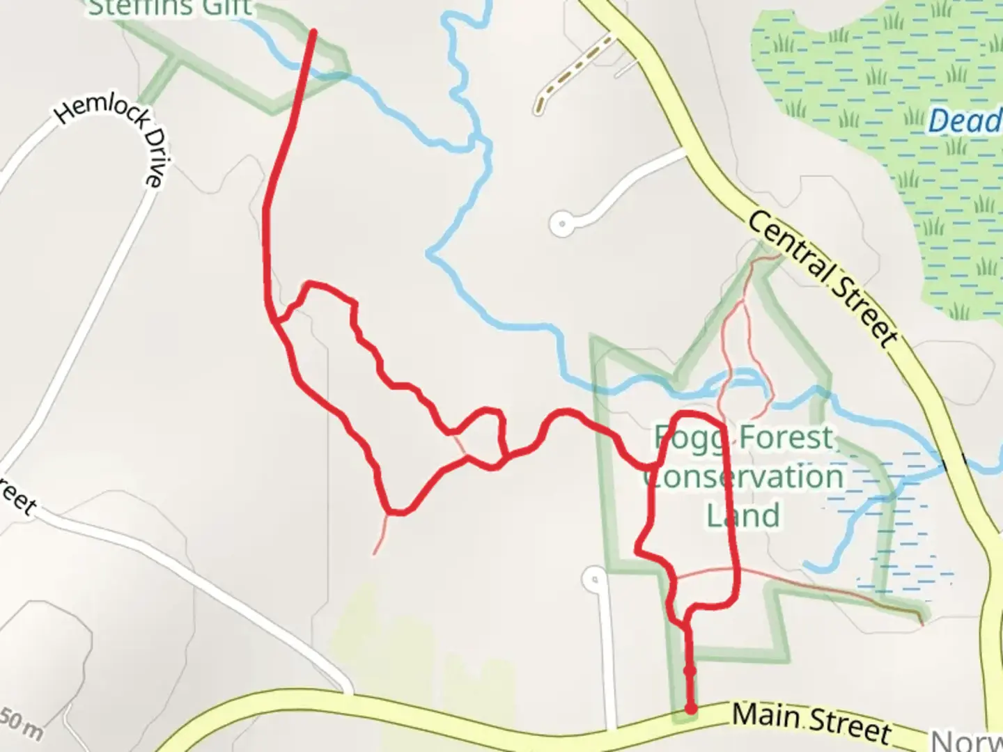 An image depicting the trail Black Pond Brook via Fogg Forest Loop and its surrounding area.