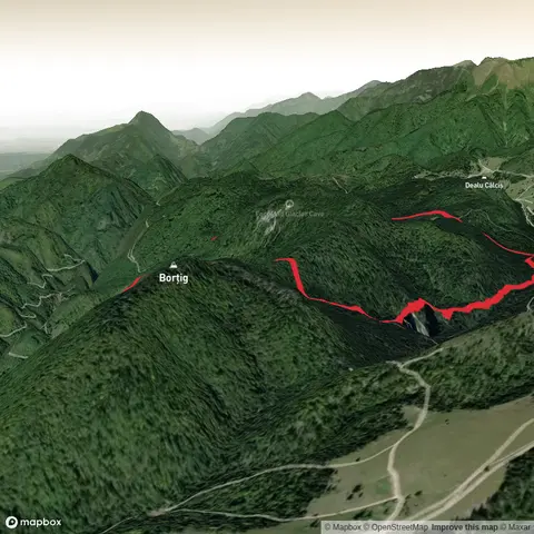 Circuit Cheile Galbenei