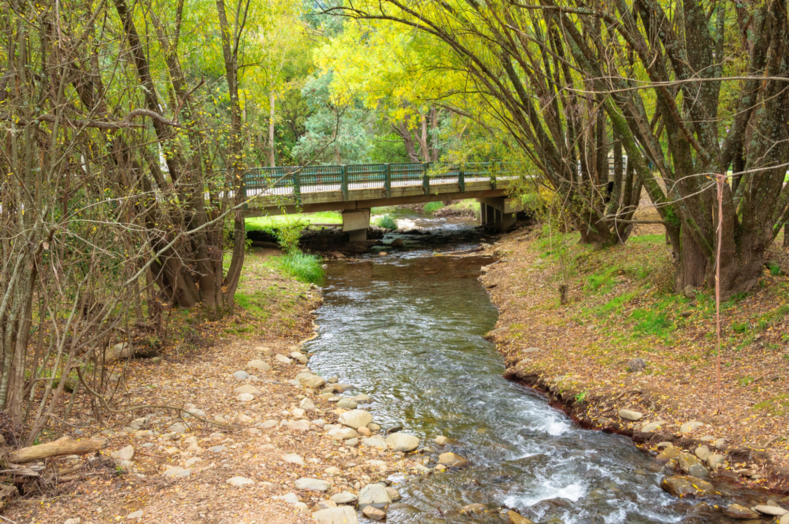 An image depicting the trail Bon Accord Spur Trail and its surrounding area.