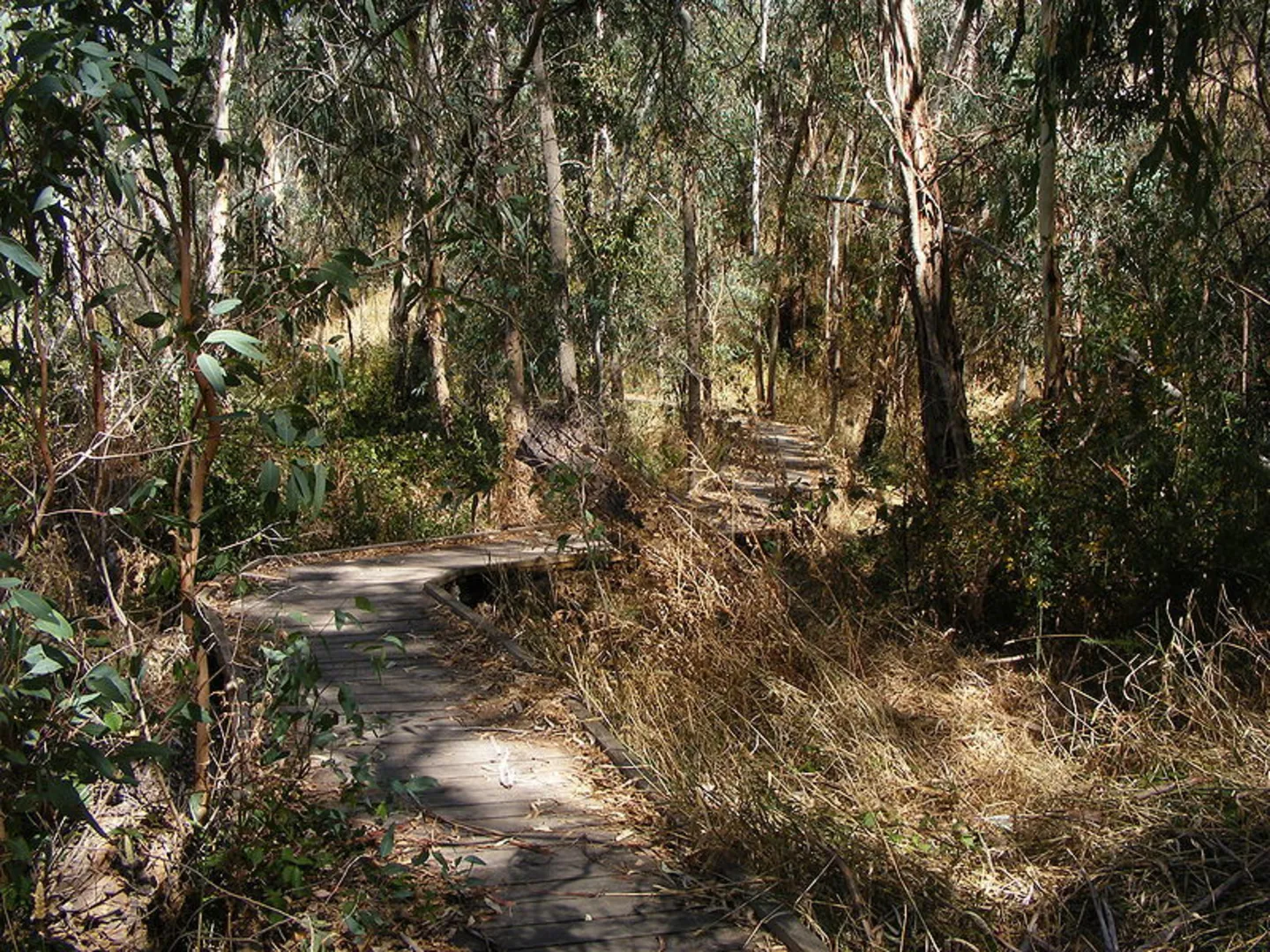 An image depicting the trail Totness Recreation Park Walk and its surrounding area.