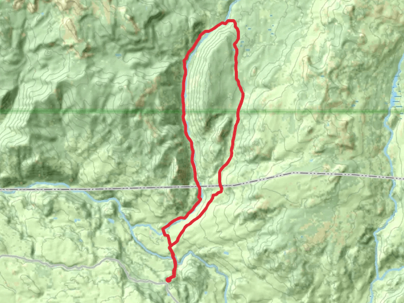 Hellroaring Creek Trail and Coyote Creek Trail