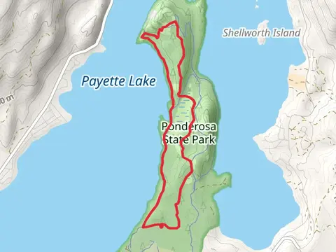 Meadow Marsh, Ridgeline Trail and Huckleberry Loop