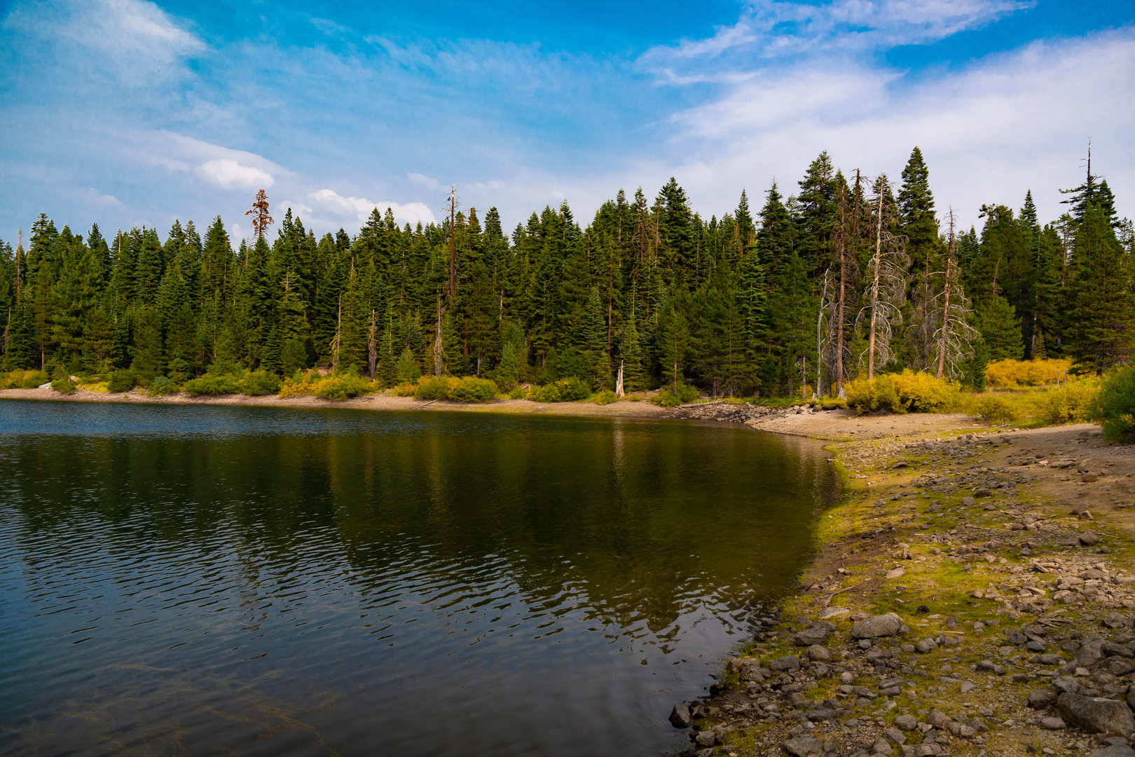 An image depicting the trail Crooked Lakes and Feeley Lake Walk and its surrounding area.