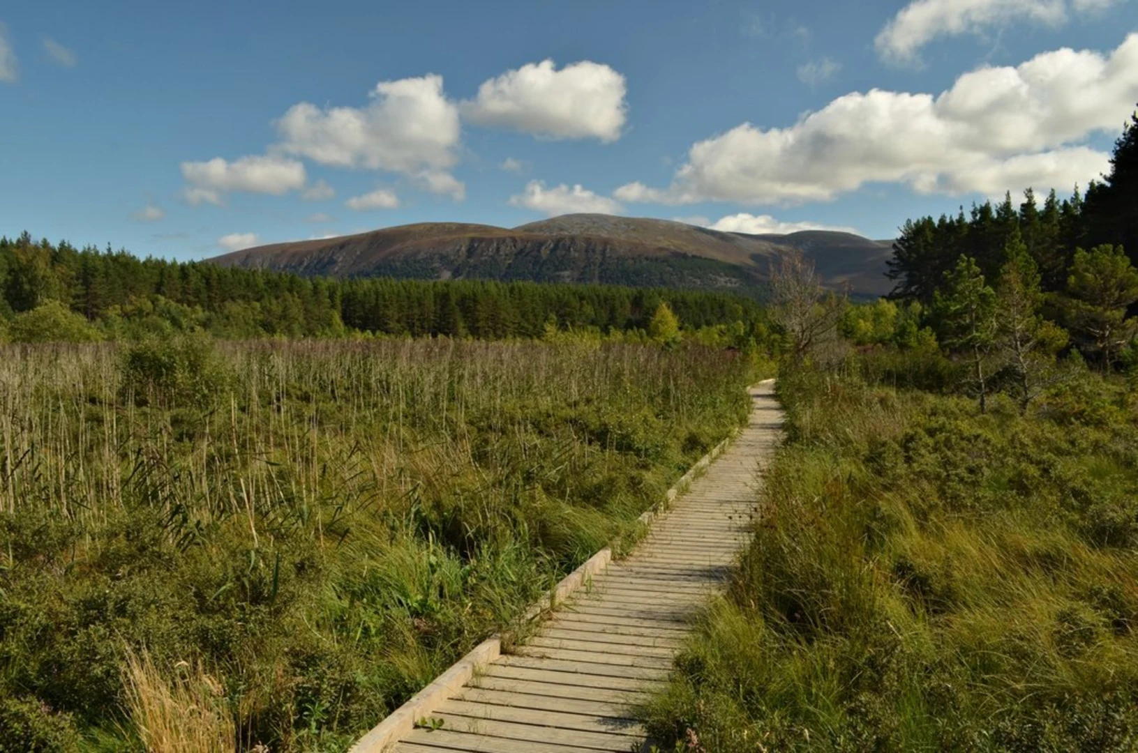 An image depicting the trail Uath Lochans Loop Trail and its surrounding area.