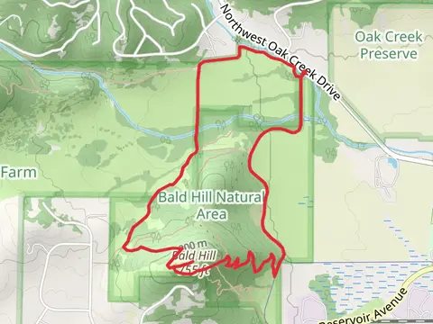 County Connector, Bald Hill and East Summit Loop Trail