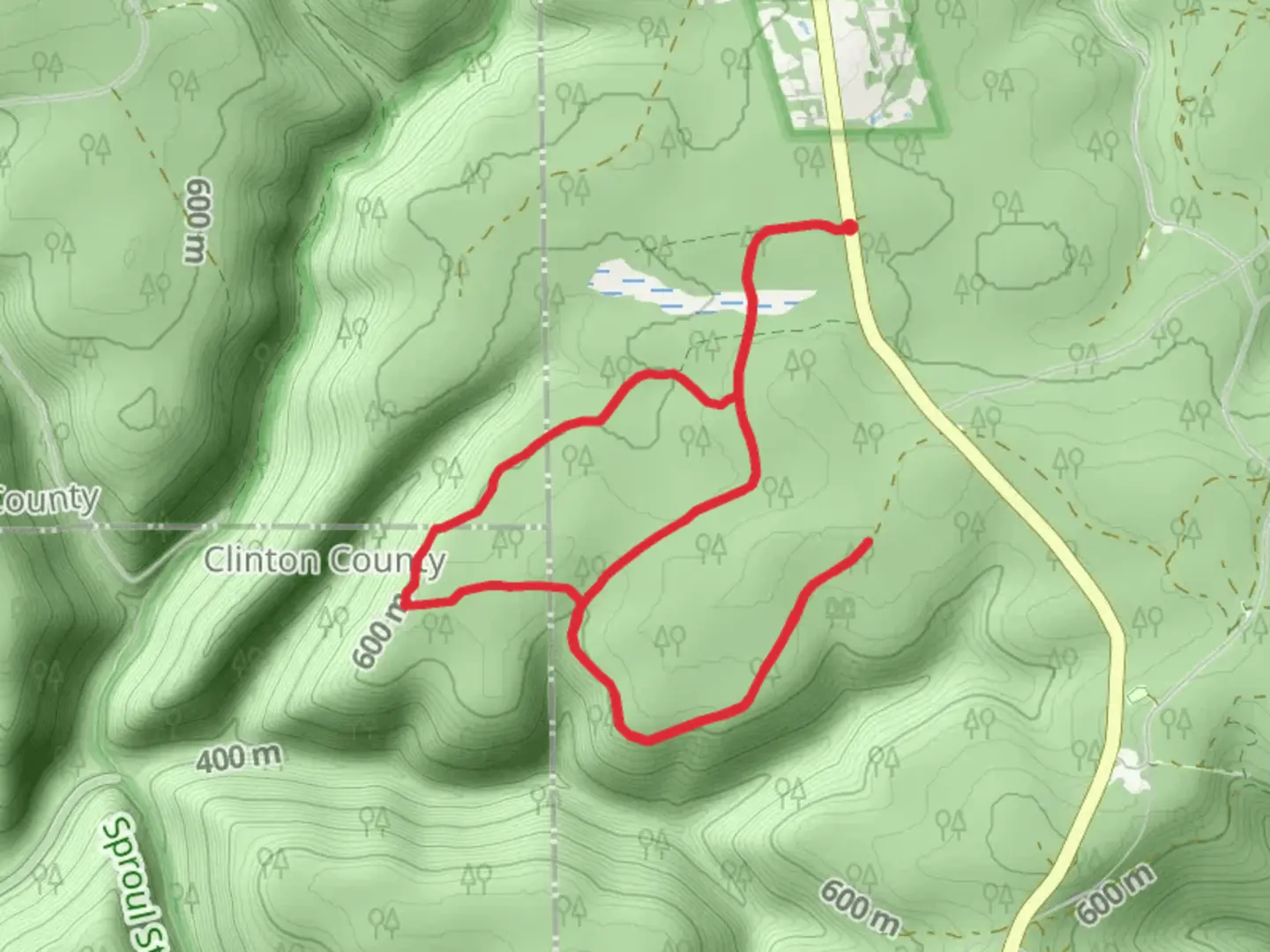 An image depicting the trail Baldwin Branch - Black Forest Trail and its surrounding area.