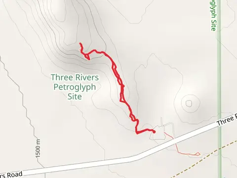 Three Rivers Petroglyph Site Trail