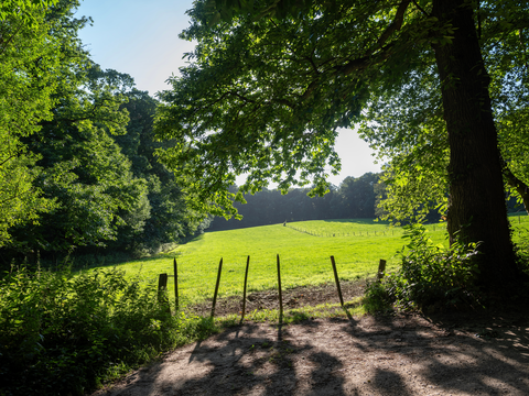 Zwarteweg, Valkseweg and Hoog Buurloseweg Loop