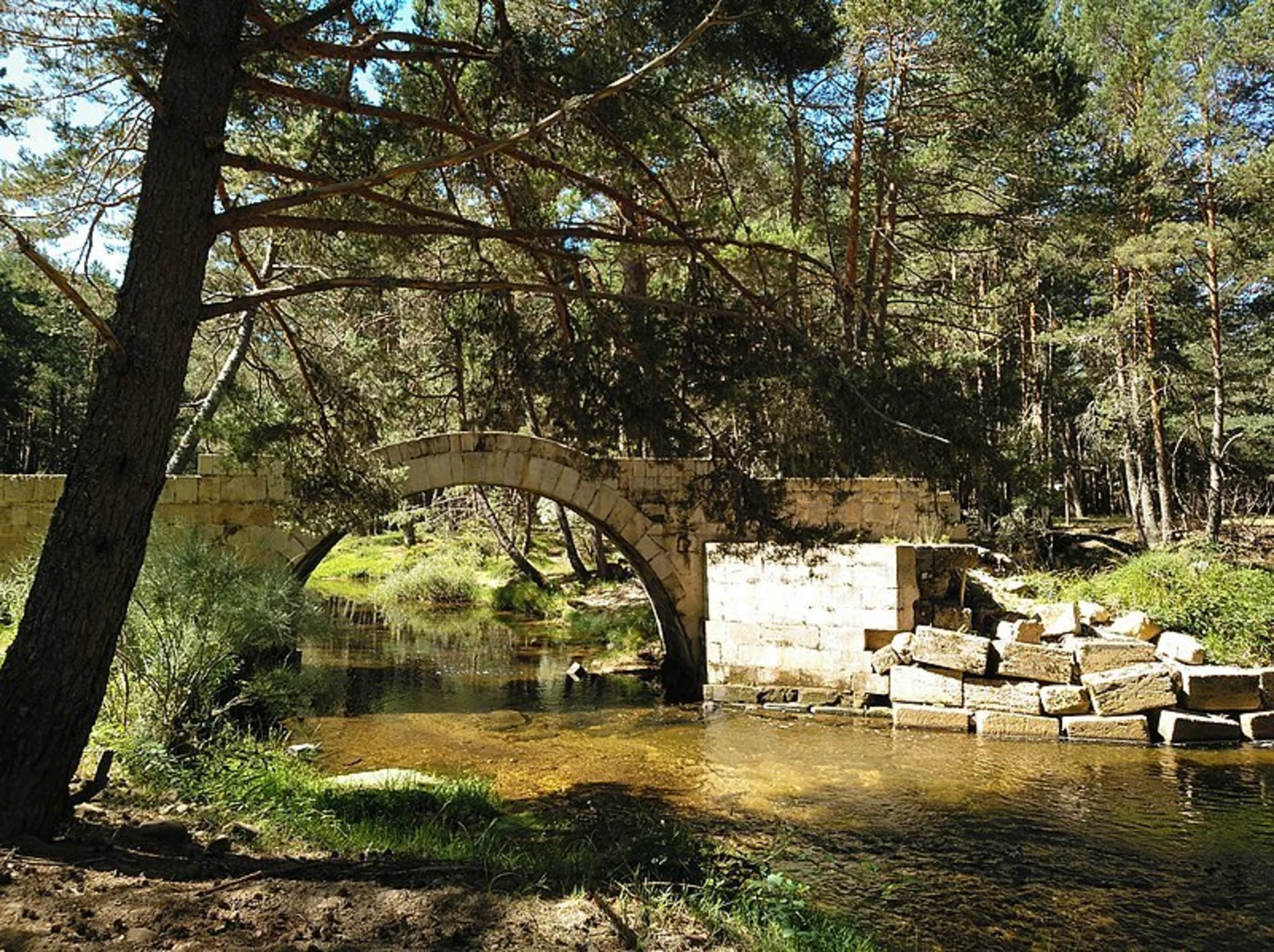 An image depicting the trail Route of the Duero Bridges PR SO 75 and its surrounding area.