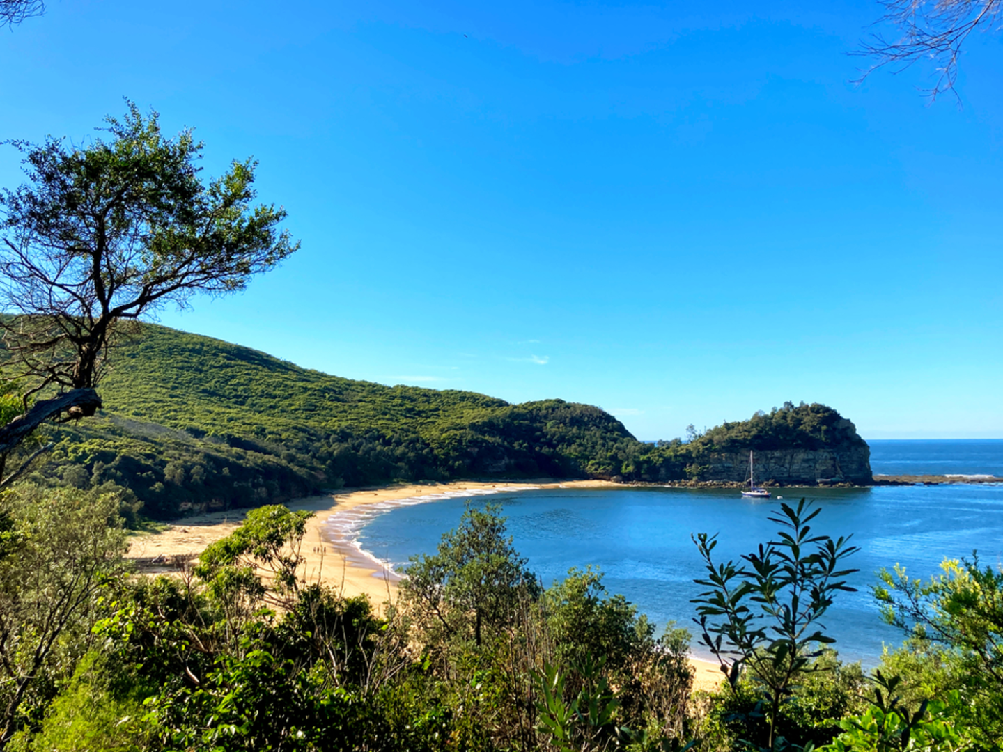 An image depicting the trail Mount Bouddi Track and its surrounding area.