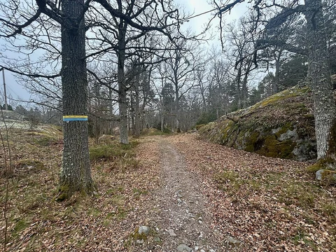 Stockholm Archipelago Trail - Finnhamn