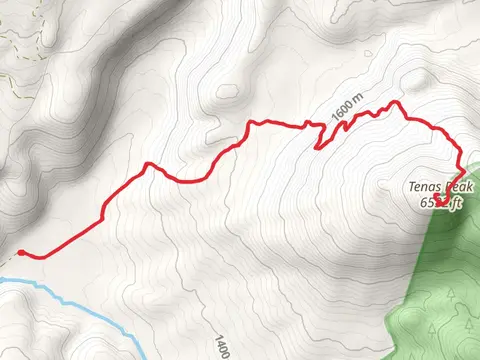 Tenas Peak Trail