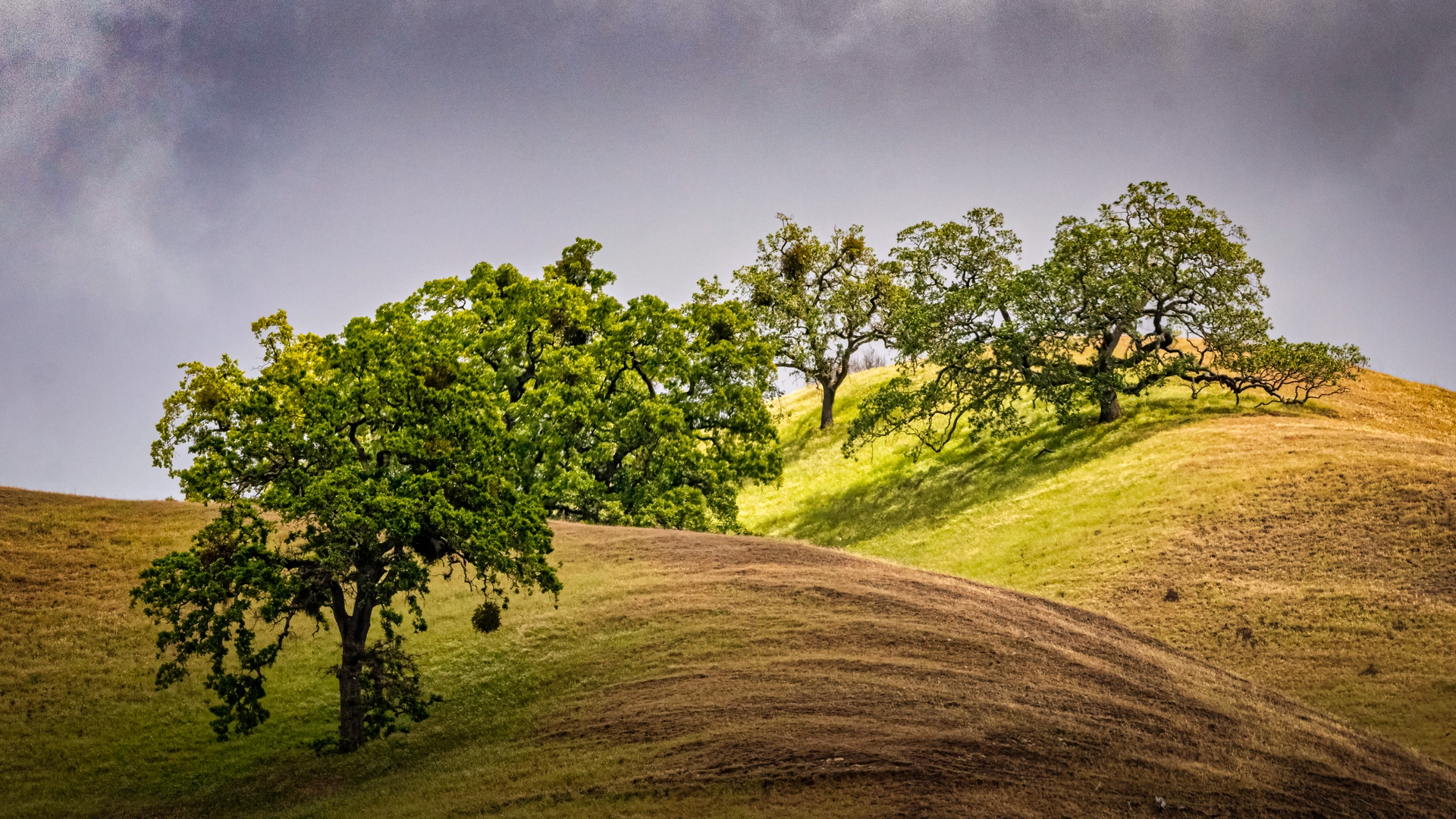 An image depicting the trail Eagle View, Camp Ohlone Road and McCorkle Loop Trail - Vista Grande and its surrounding area.