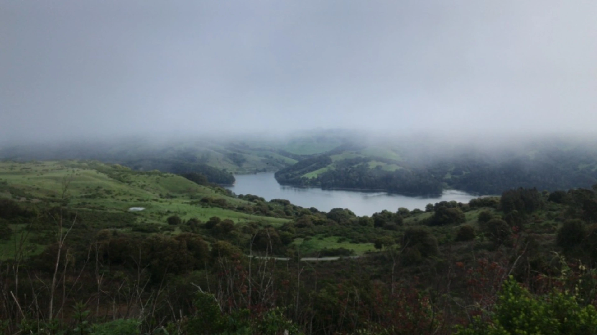 An image depicting the trail Kennedy Creek and Sea Foam Loop Trail and its surrounding area.