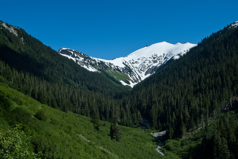 Ruth Arm Trail