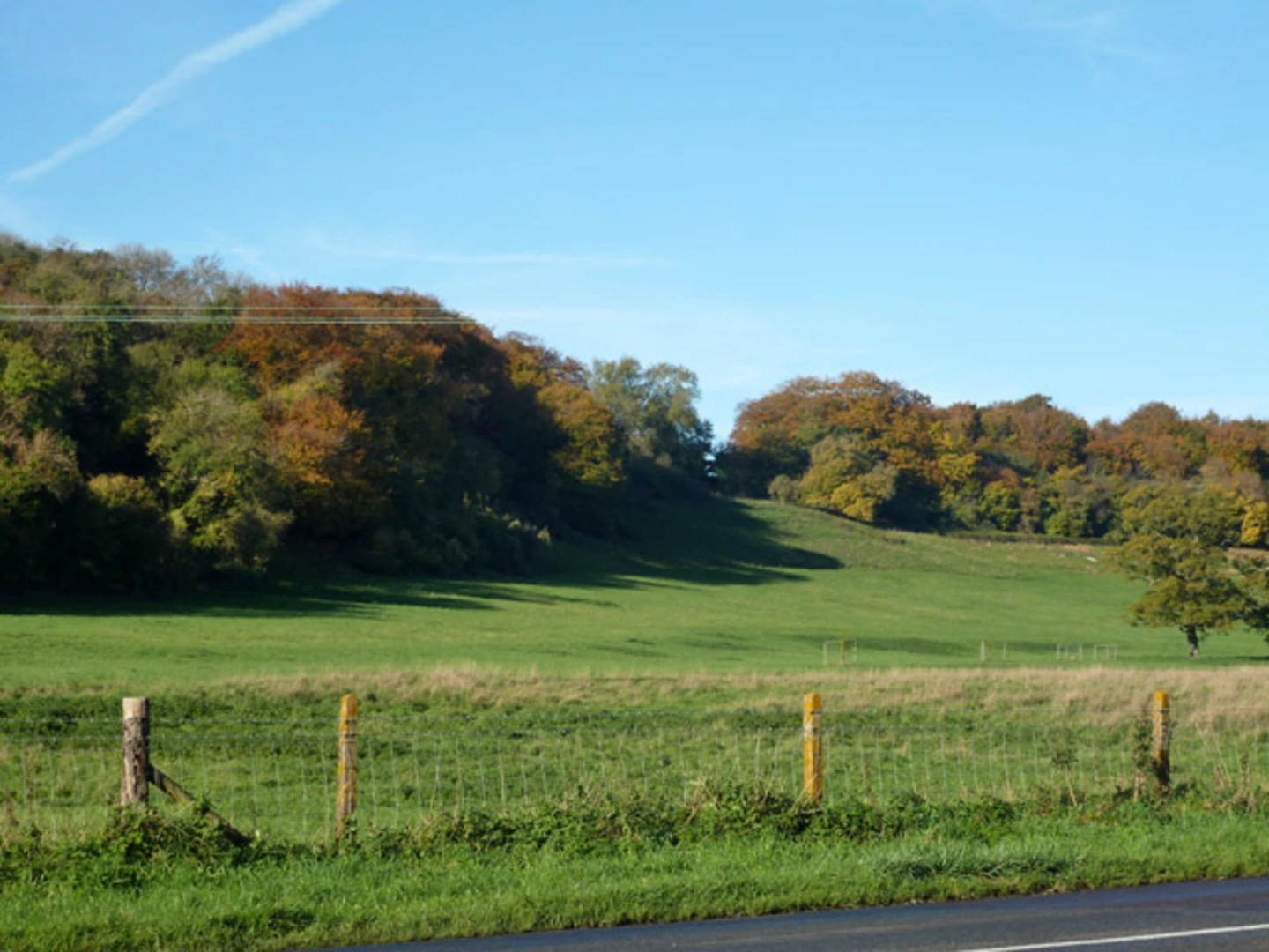 Stansted Maze and Lordington Loop | West Sussex | England