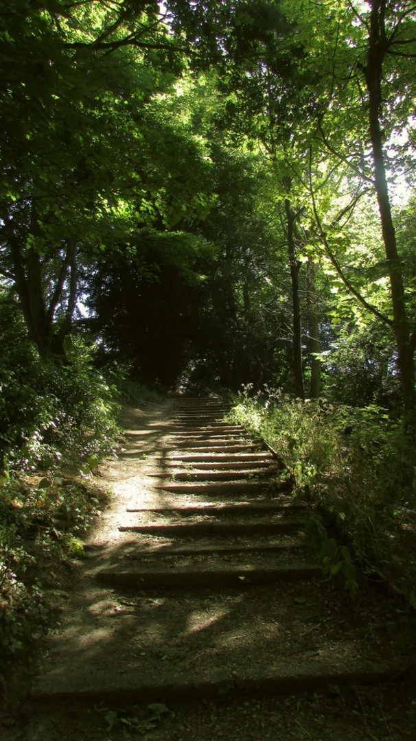 Britford Circular Walk | Wiltshire | England