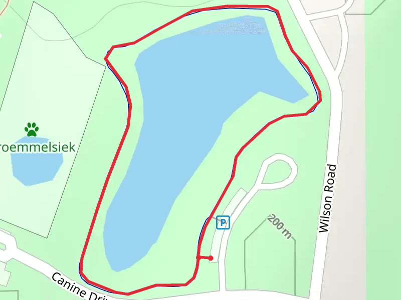 Wilson Road Loop