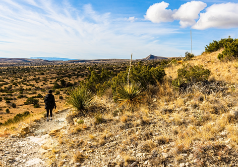 Smith Spring Loop
