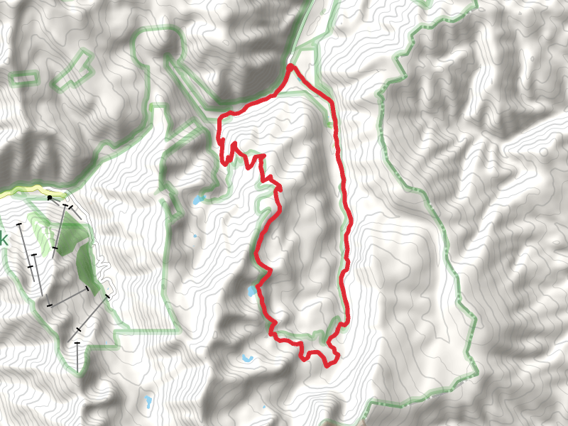Lost Lake Trail and East Fork Loop Trail