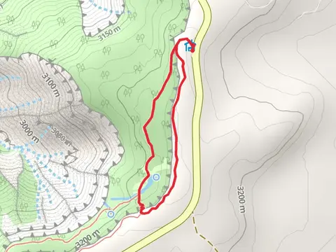 Alpine Pond Loop Trail