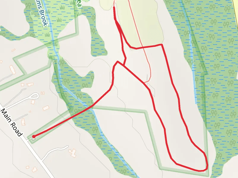Dunham's Brook Loop