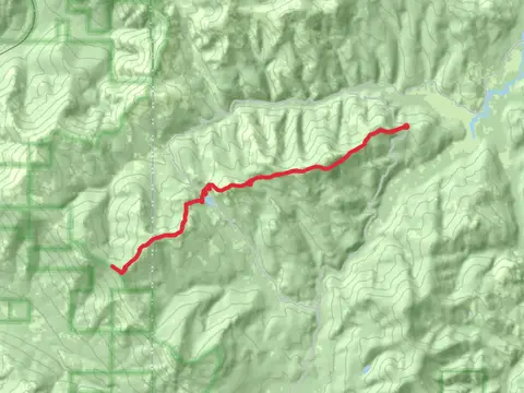Ingalls - Mount Conner Trail