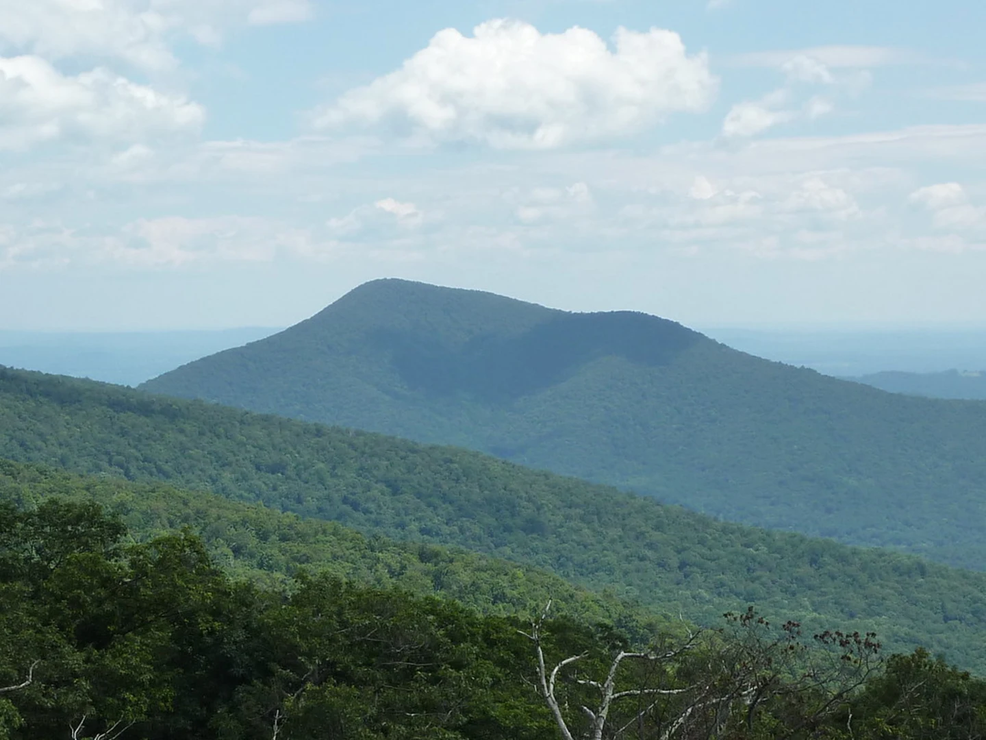 An image depicting the trail Neighbor Mountain - Jeremeys Run Trail and its surrounding area.