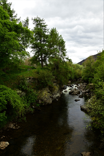 Queen's Drive Trail
