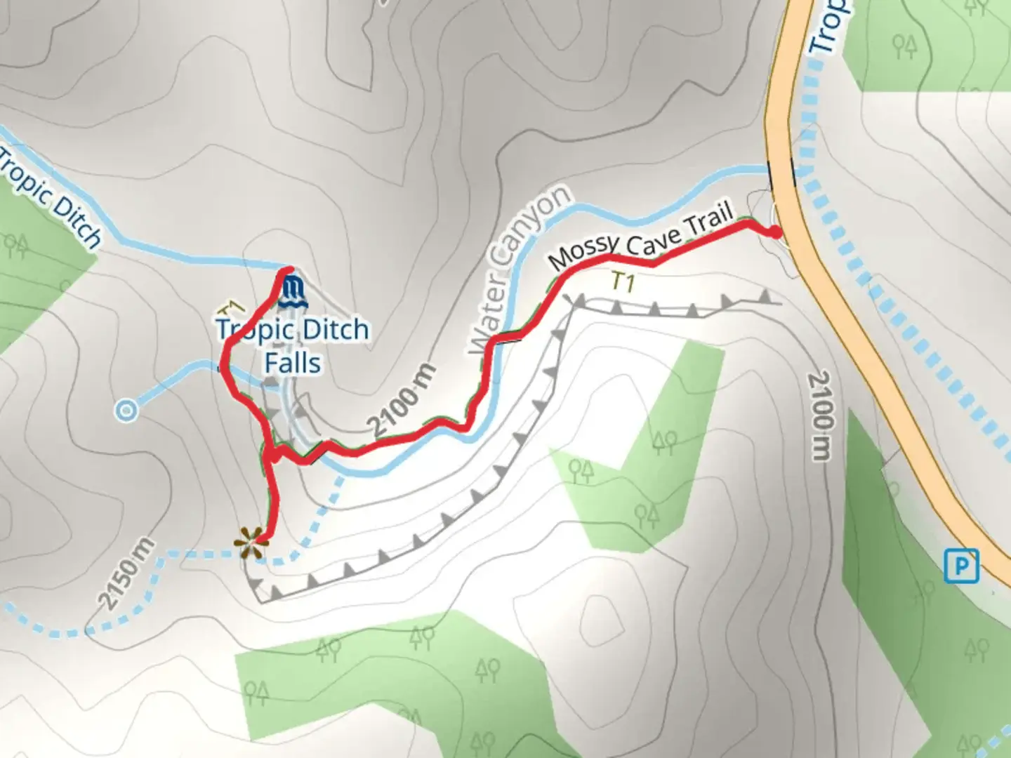 An image depicting the trail Mossy Cave and Waterfall Trail and its surrounding area.