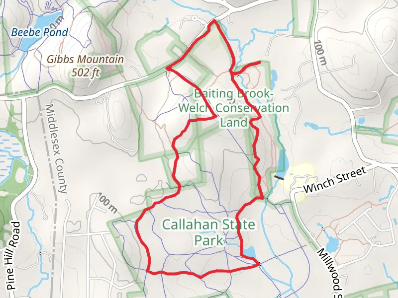 Eagle Pond and Packard Pond Loop