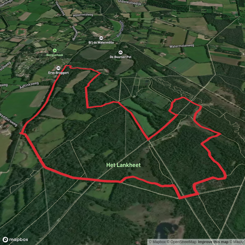 Het Lankheet and Buurserbeek via Veddersweg