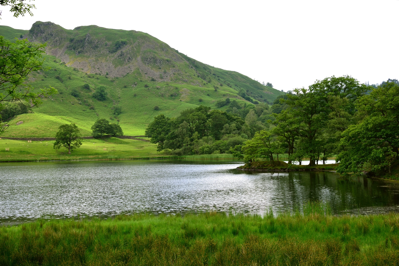 An image depicting the trail Lakeland Loop from Ambleside and its surrounding area.