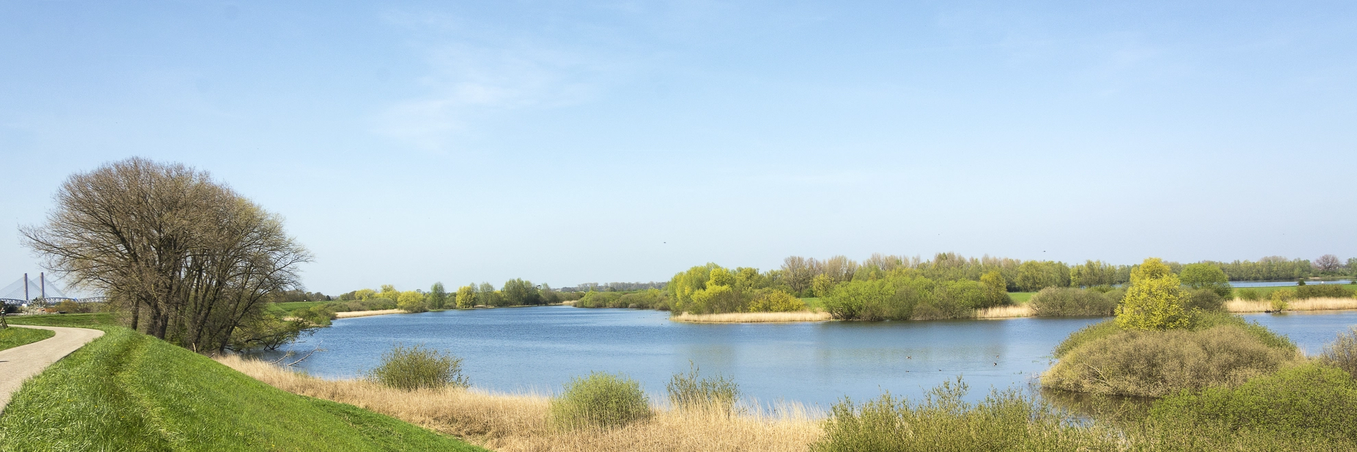 An image depicting the trail Maarten Van Rossumpad and its surrounding area.