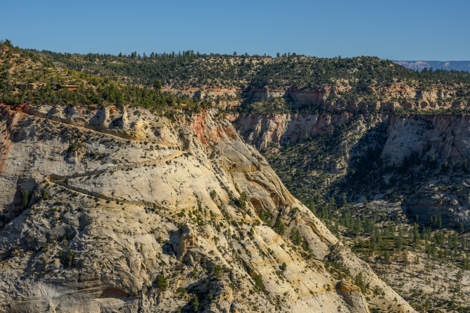 An image depicting the trail East Rim Trail and its surrounding area.