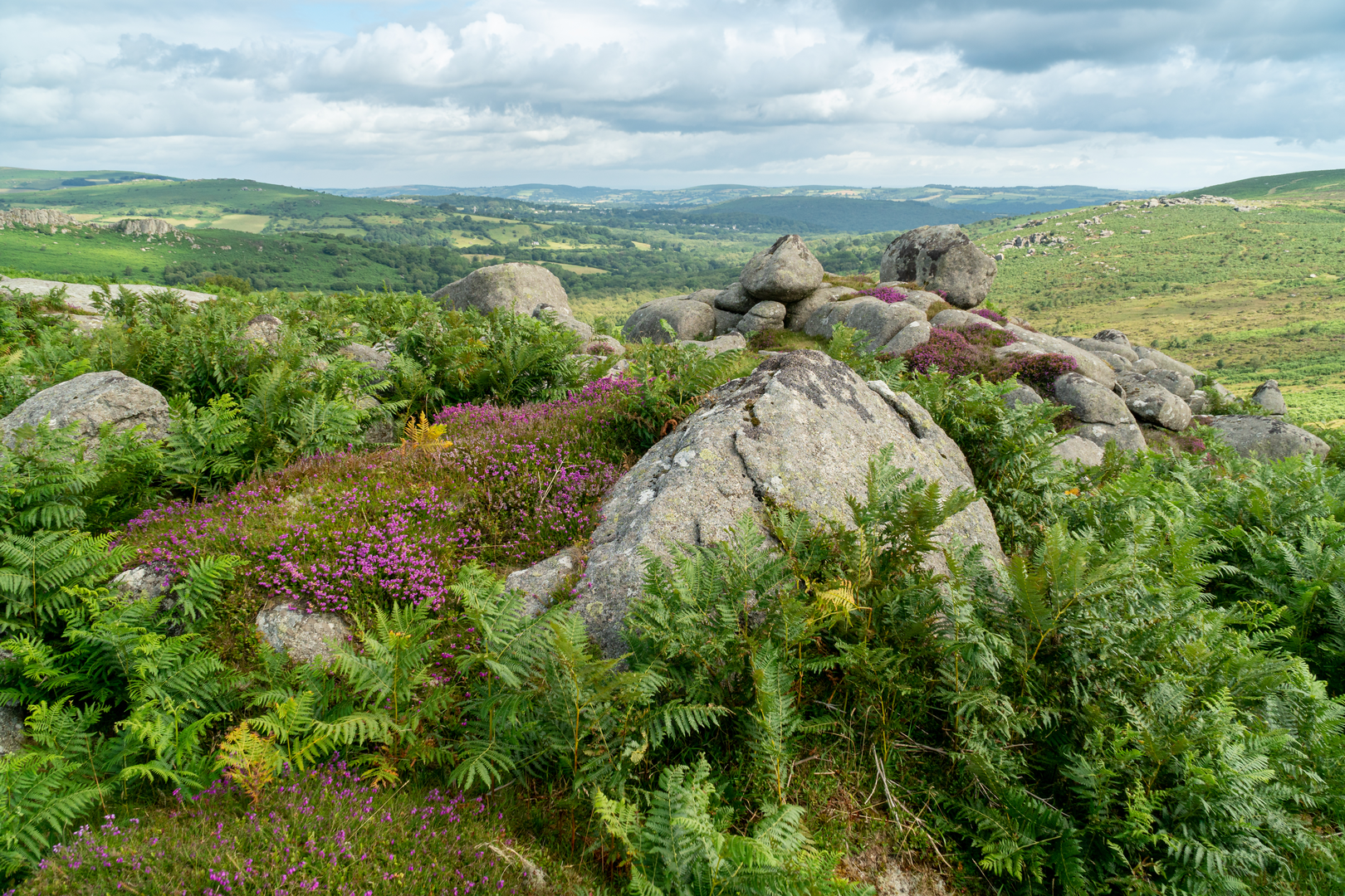 An image depicting the trail Haytor to Emsworthy Mire Walk and its surrounding area.